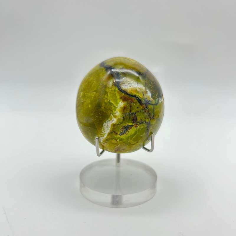 Green Opal Palm Stone From Madagascar