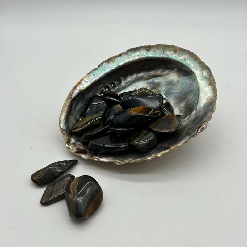 Multi Tigers Eye