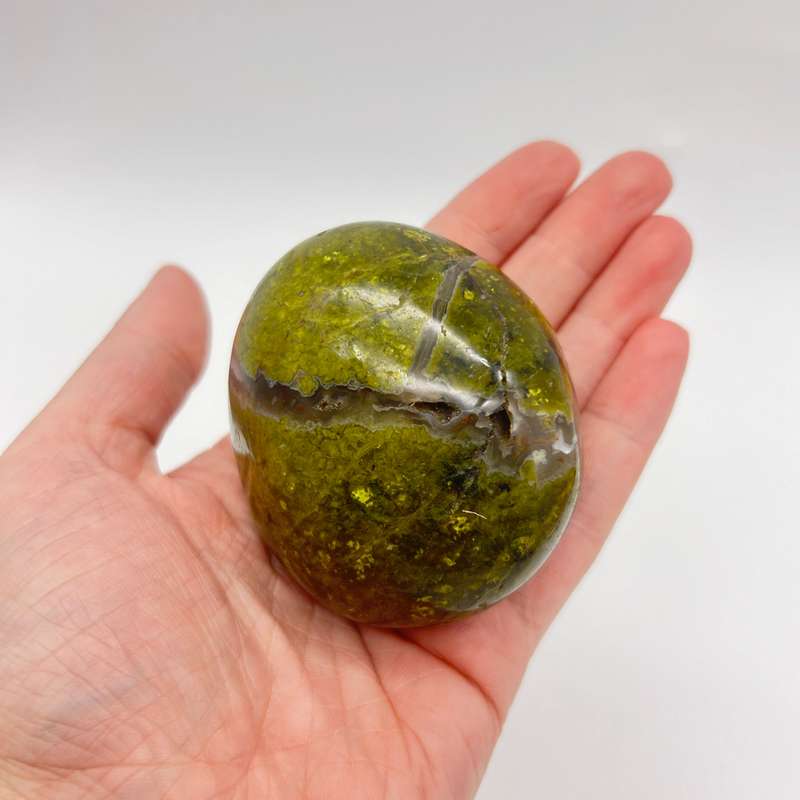 Green Opal Palm Stone From Madagascar