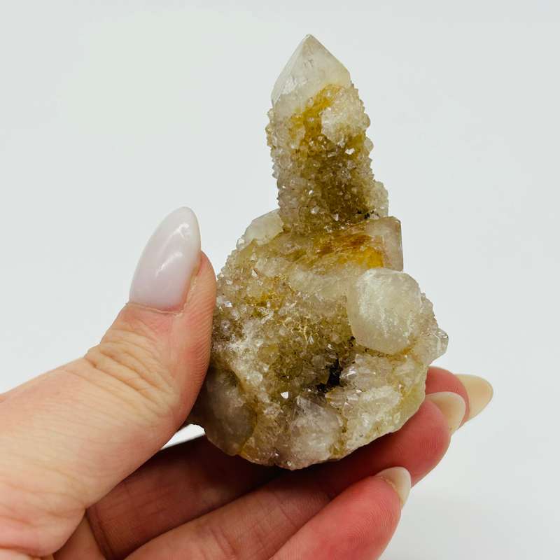 Cactus Quartz