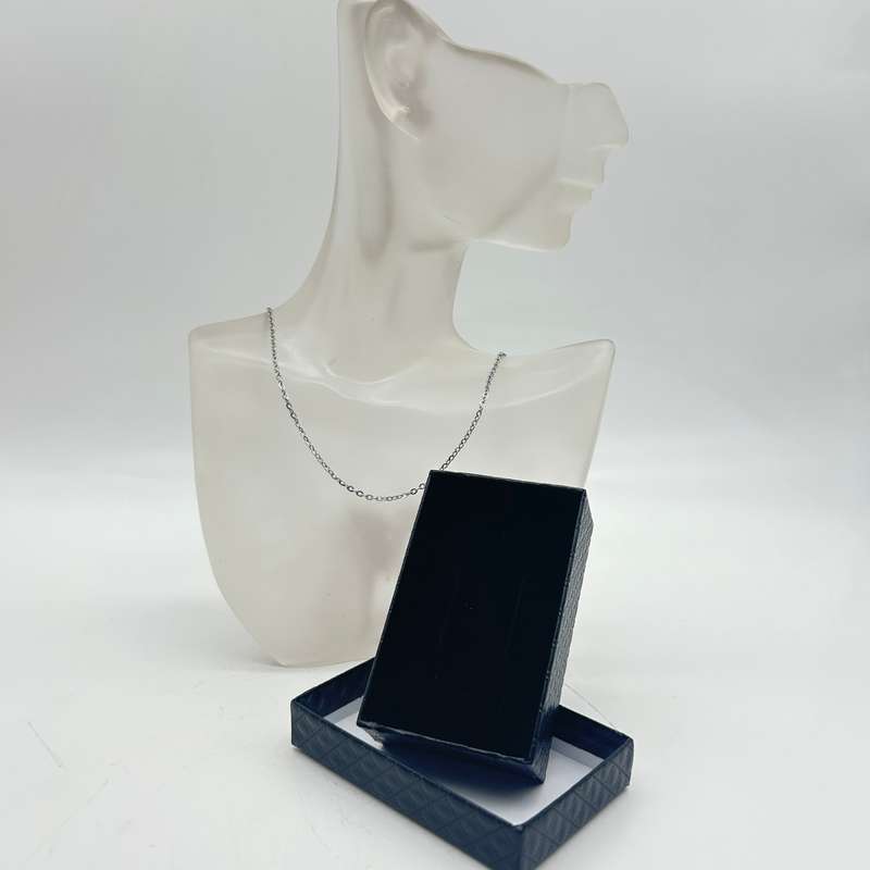 Stainless Steel Chain (50cm) With Gift Box