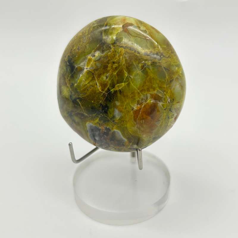 Green Opal Palm Stone From Madagascar