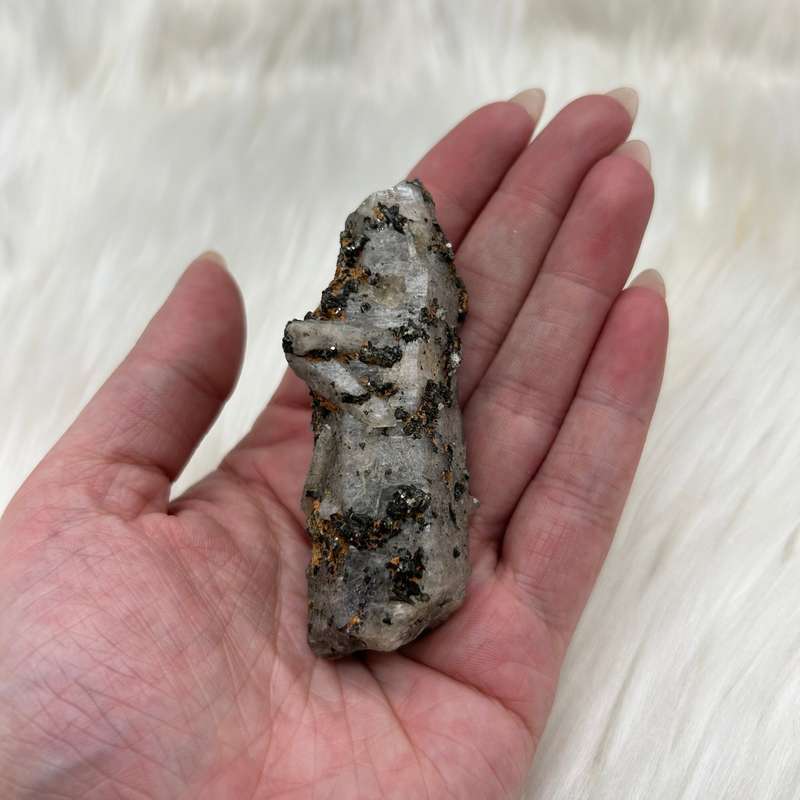 Witches Finger