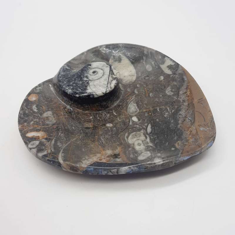 Goniatite Heart Dish