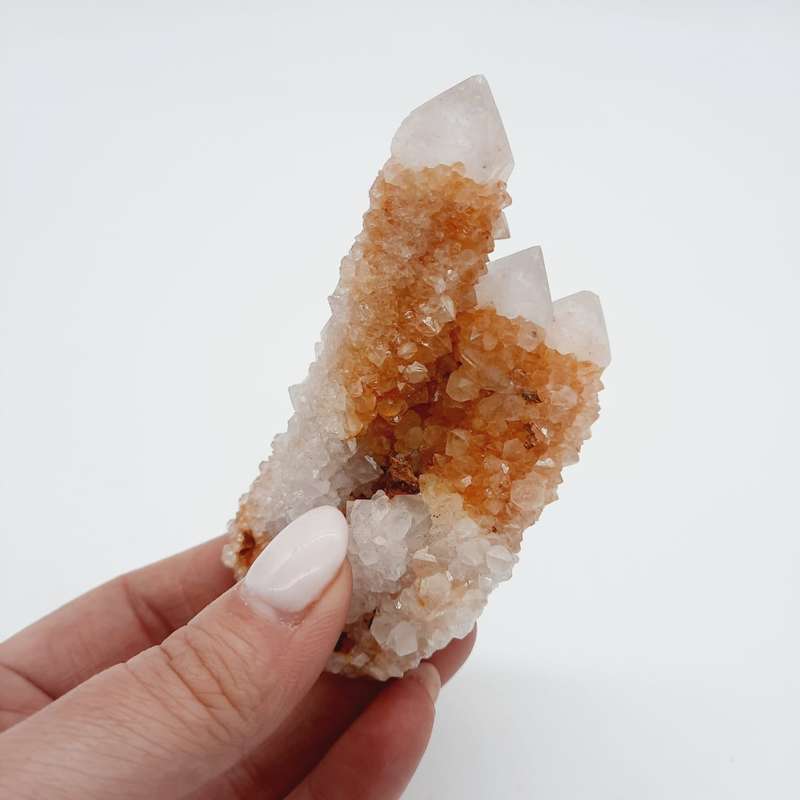 Cactus Quartz Crimson Queen