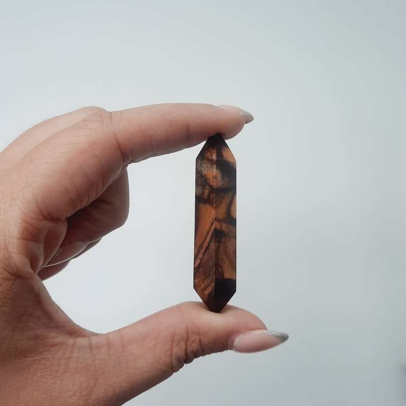 Double-Terminated Spiderweb Jasper