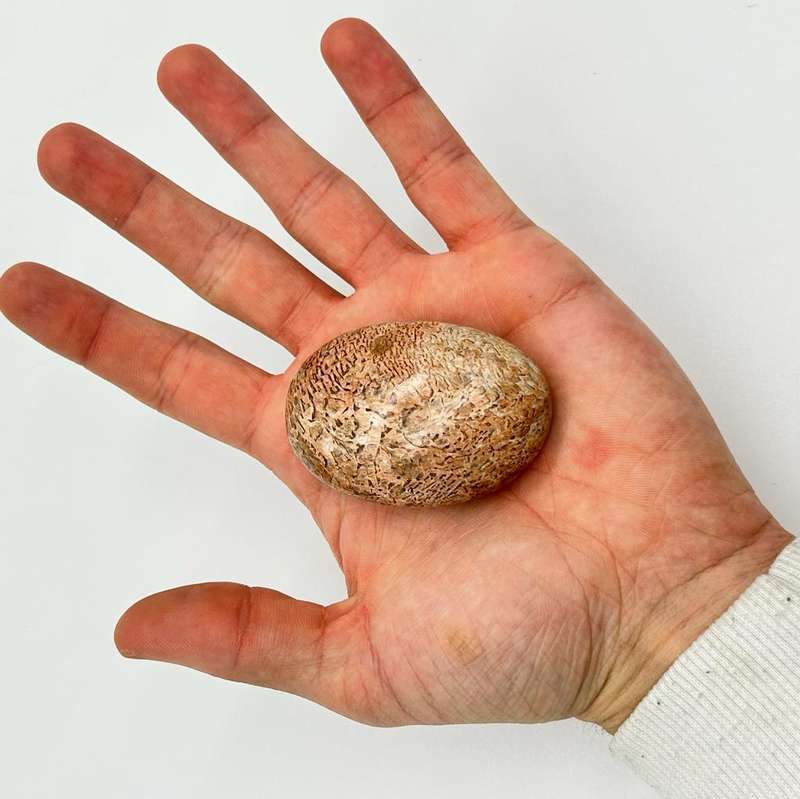 Peach Moonstone Palm Stone