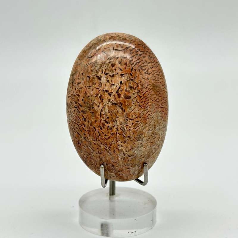 Peach Moonstone Palm Stone