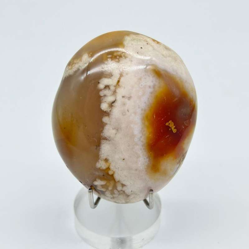 Flower Agate Oval