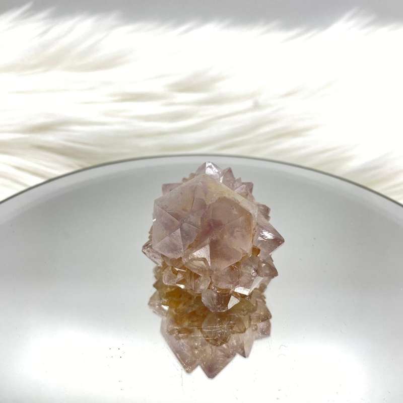 Cactus Quartz