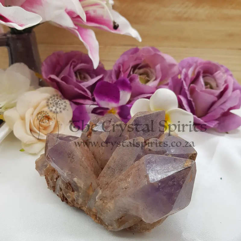 Amethyst Cluster