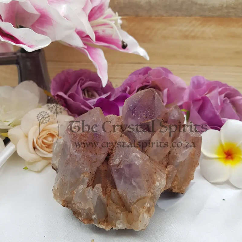 Amethyst Cluster