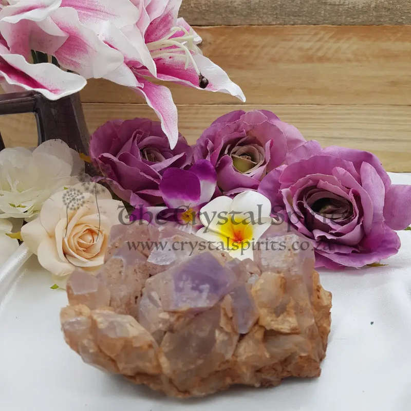 Amethyst Cluster
