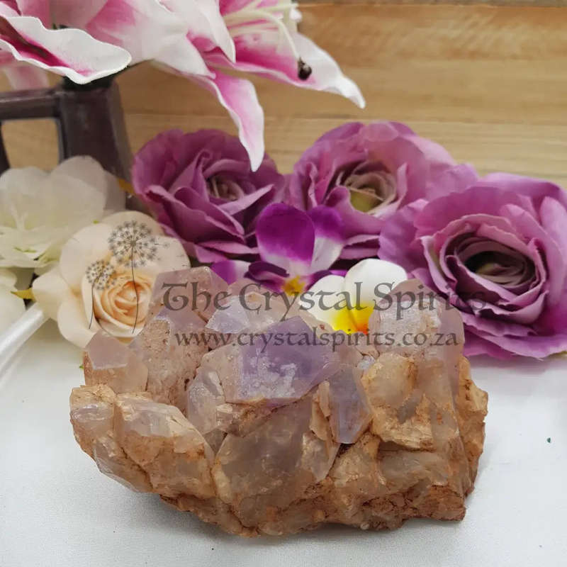 Amethyst Cluster