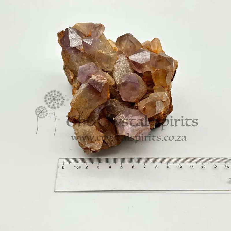 Amethyst Crystal Cluster