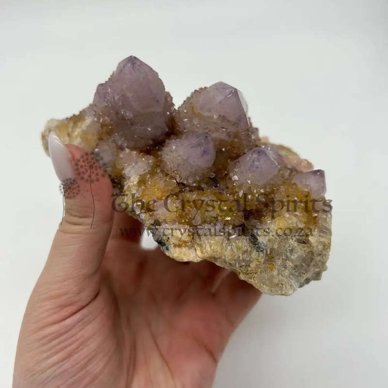 Ametrine Cactus Quartz Cluster