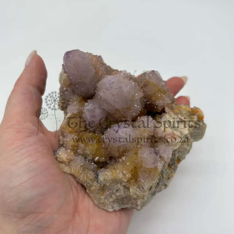 Ametrine Cactus Quartz Cluster