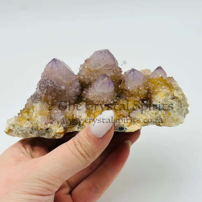 Ametrine Cactus Quartz Cluster