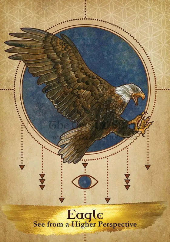 Angels and Ancestors Oracle Cards by Kyle Gray
