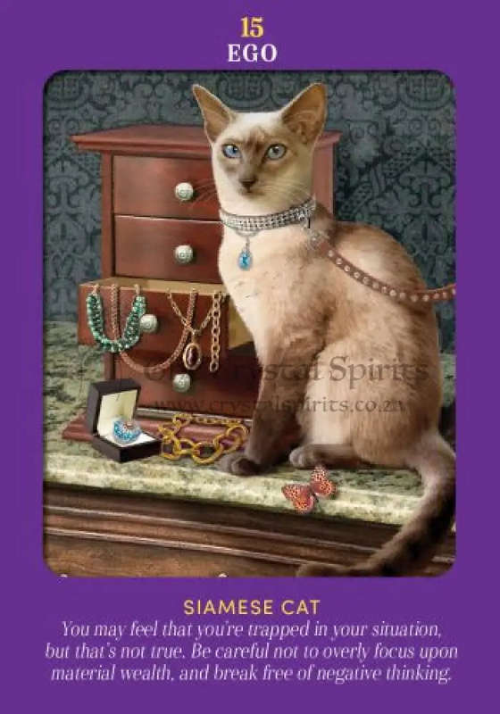 Animal Guides Tarot by Radleigh Valentine