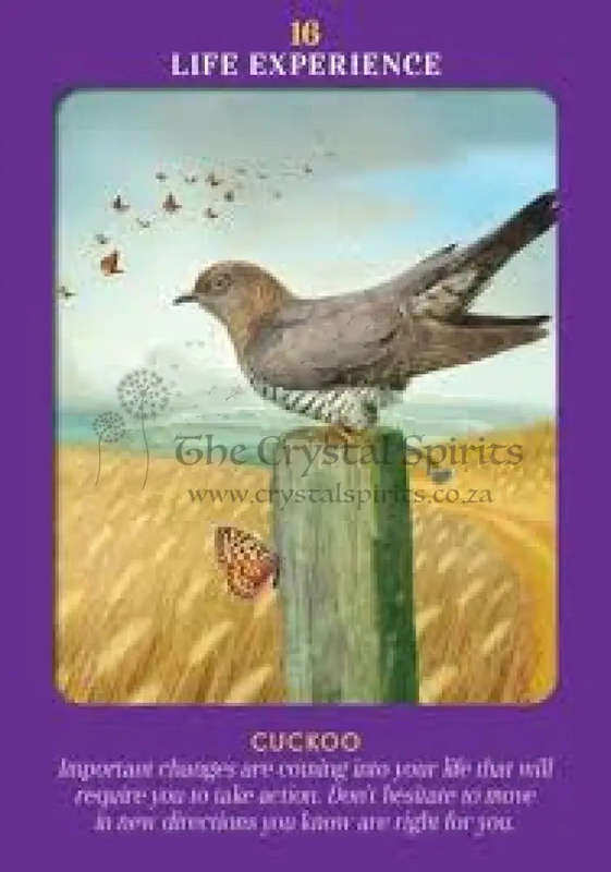 Animal Guides Tarot by Radleigh Valentine