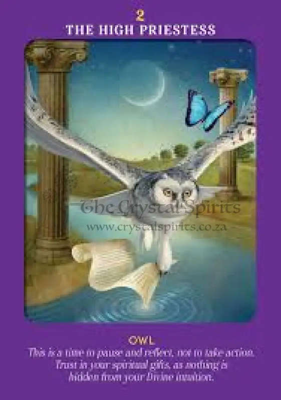 Animal Guides Tarot by Radleigh Valentine