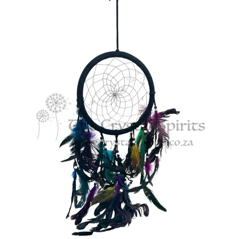 Black Dreamcatcher With Colourful Feathers