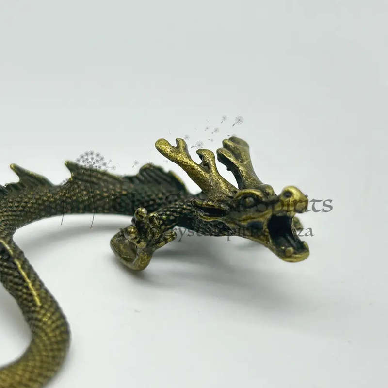 Brass Dragon Mythical And Magical