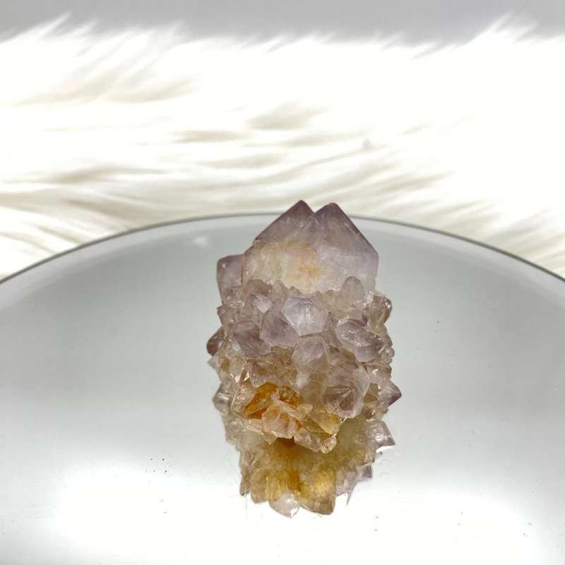 Cactus Quartz
