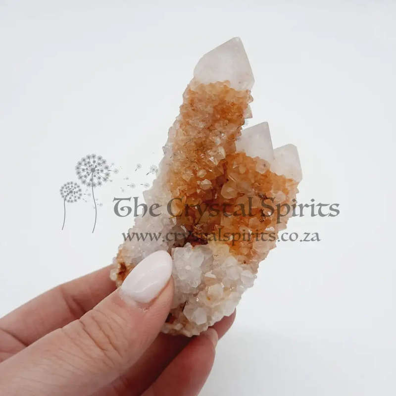 Cactus Quartz Crimson Queen