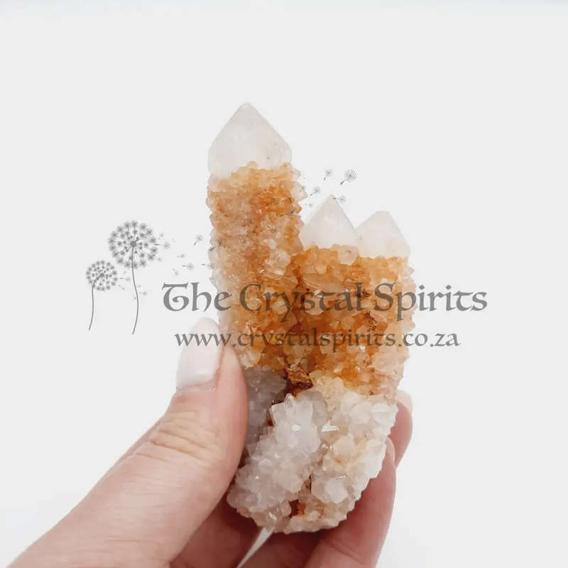 Cactus Quartz Crimson Queen