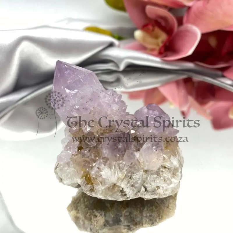 Cactus Quartz
