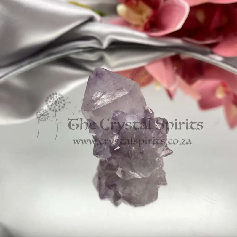 Cactus Quartz