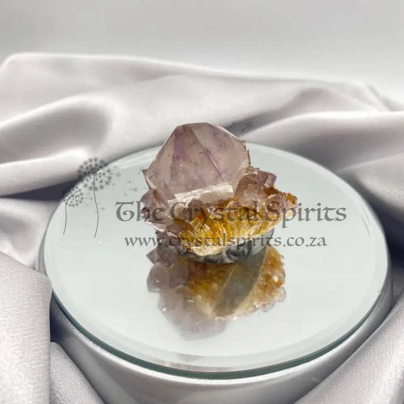 Cactus Quartz