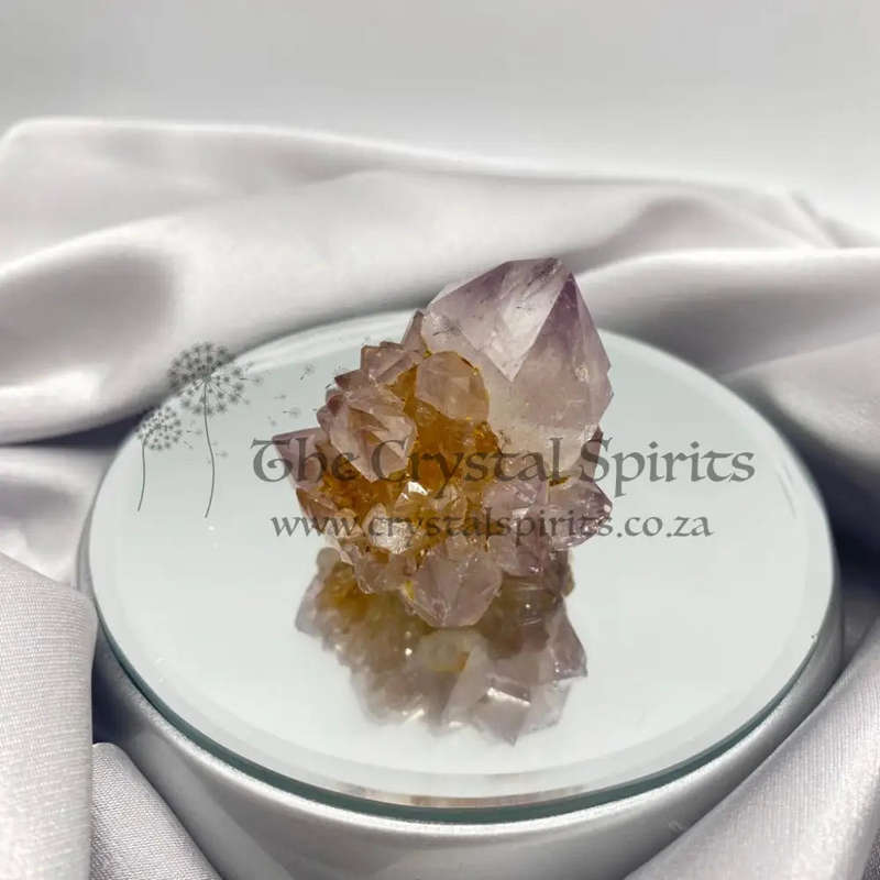 Cactus Quartz