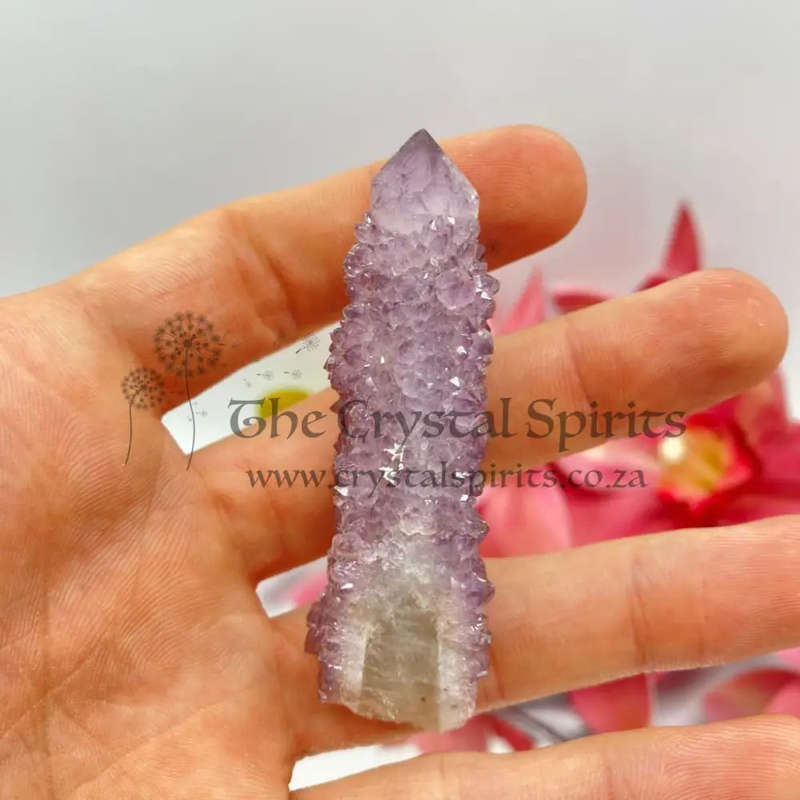 Cactus Quartz