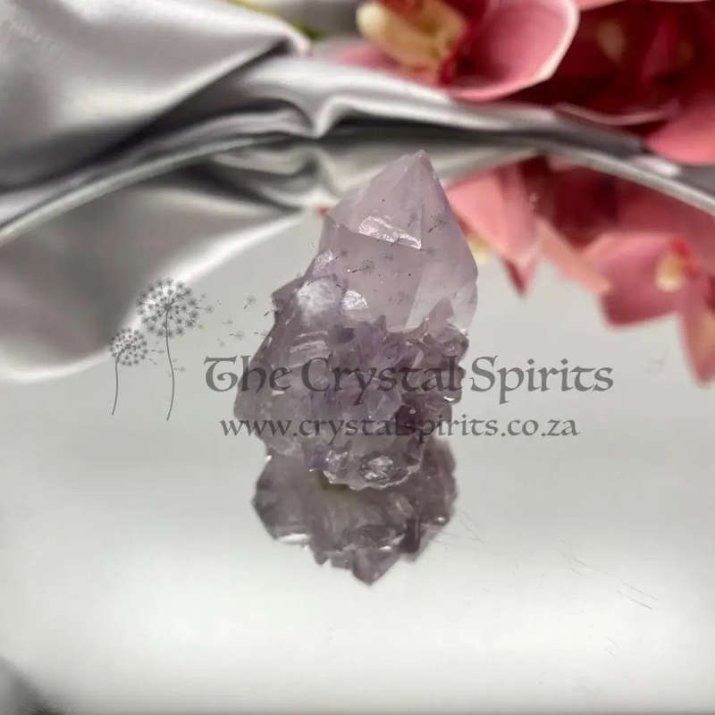 Cactus Quartz