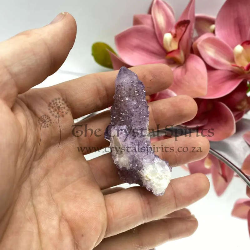 Cactus Quartz