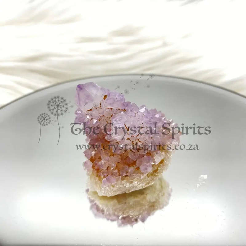 Cactus Quartz