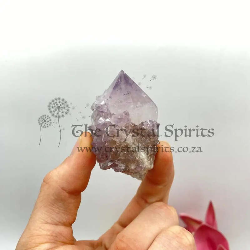 Cactus Quartz