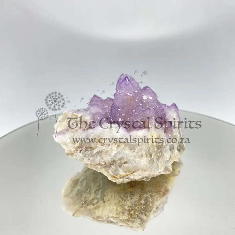 Cactus Quartz
