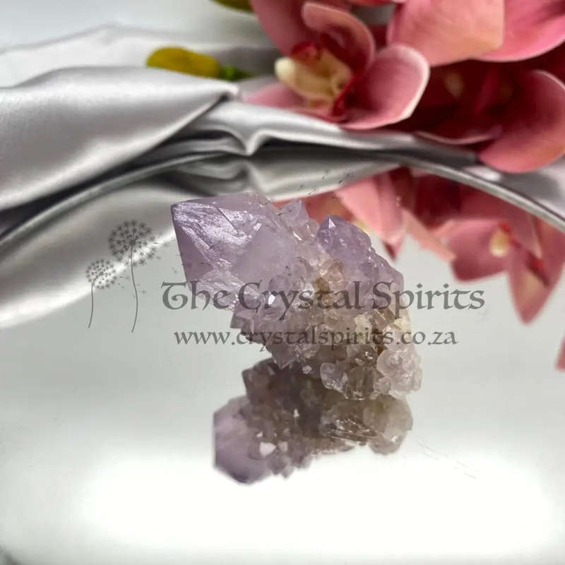 Cactus Quartz
