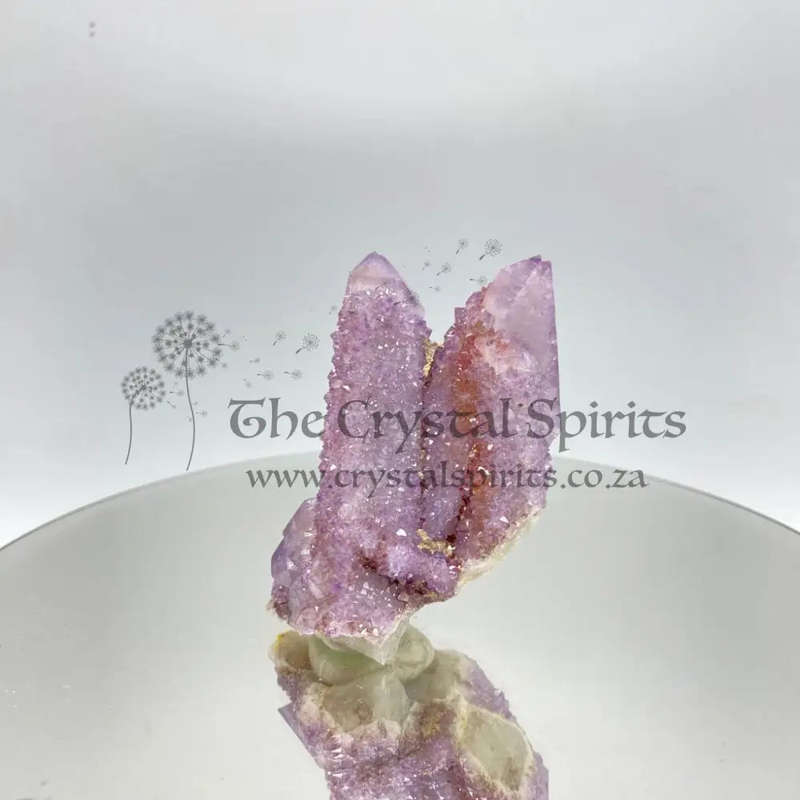 Cactus Quartz
