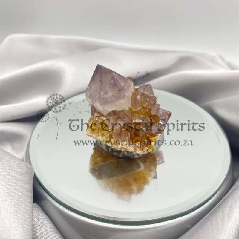 Cactus Quartz