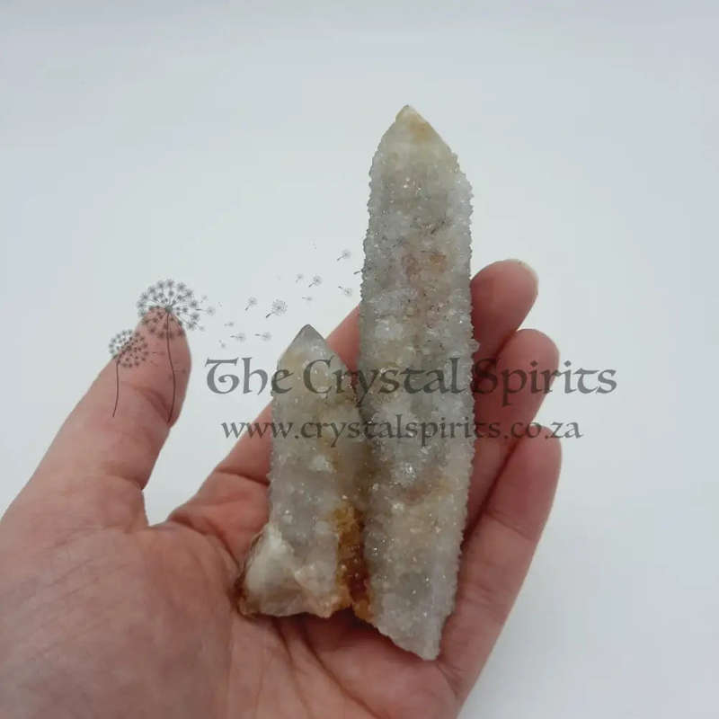 Cactus Quartz Crystal
