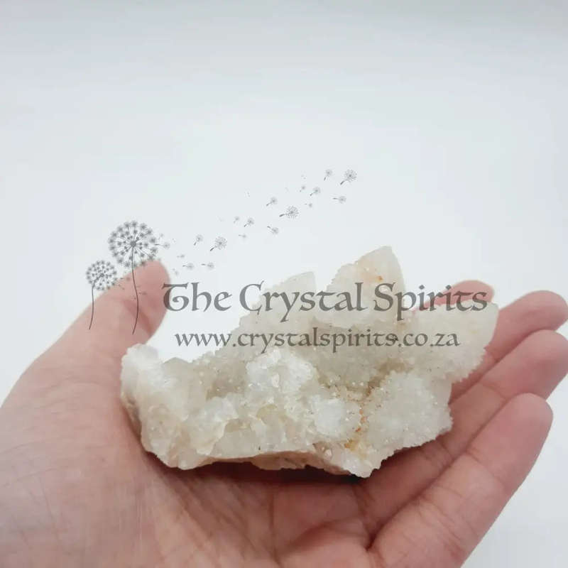 Cactus Quartz Crystal