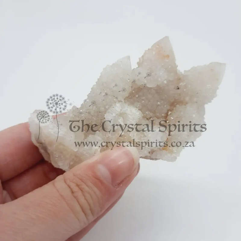 Cactus Quartz Crystal