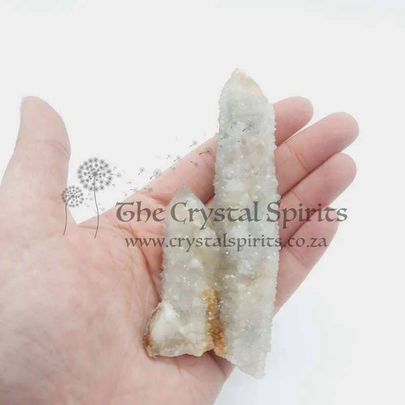 Cactus Quartz Crystal