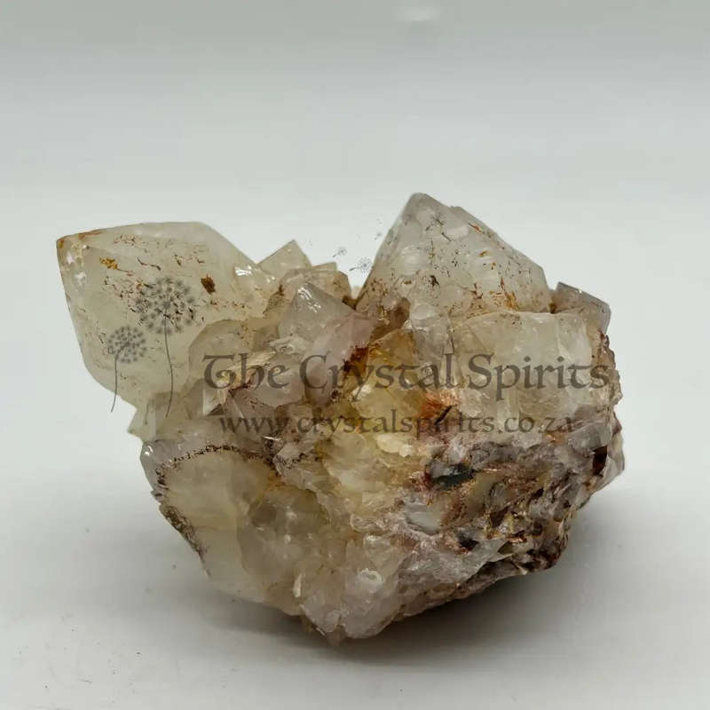 Cactus  Quartz -king white Cluster