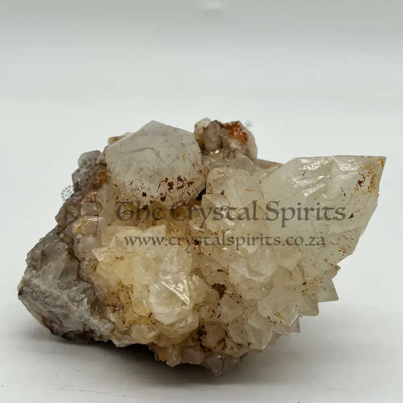 Cactus  Quartz -king white Cluster